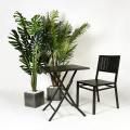 [Tree - Hawaii Palm H1700, Tree - Monstera H1600, Hiro Outdoor Sidechair & Hiro Outdoor Folding Table]